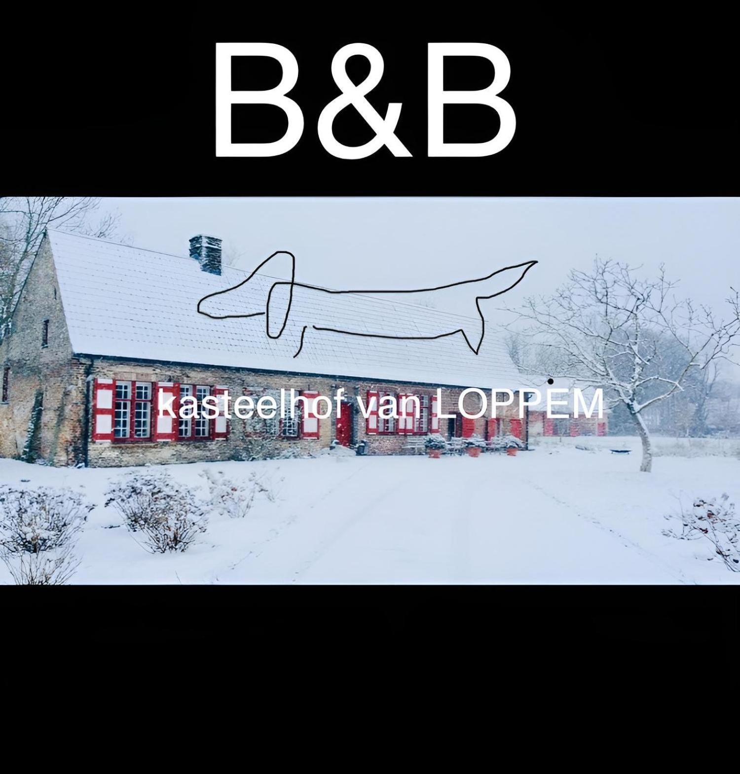 Kasteelhof Van Loppem Екстер'єр фото